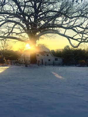 The barn makes for a picturesque snowy sunrise.