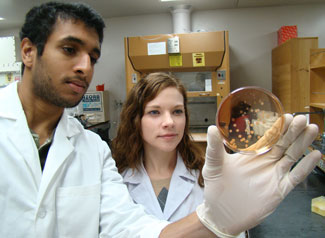Abhinav Komandur and Alyson Malone examine bacteria in the laboratory.