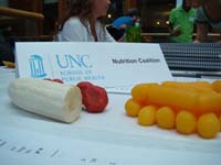 Table Setup for Nutrition Coalition: Imitation food was brought to help explain serving sizes