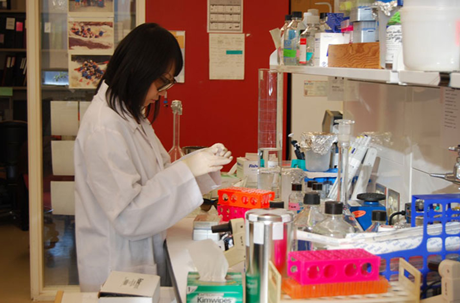 A woman performs research in a lab.