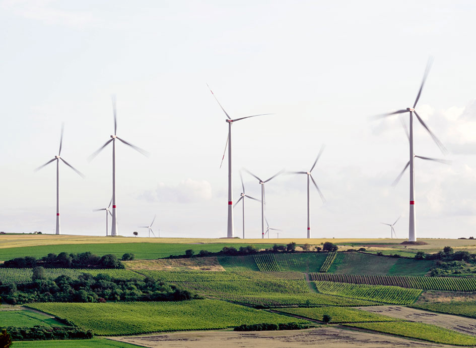 Wind turbines spin over an open field.
