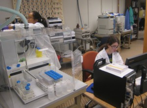 SRP_Liu-Zangi in lab