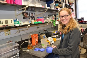 A student in the environmental sciences and engineering department puts on gloves before starting an experiment.