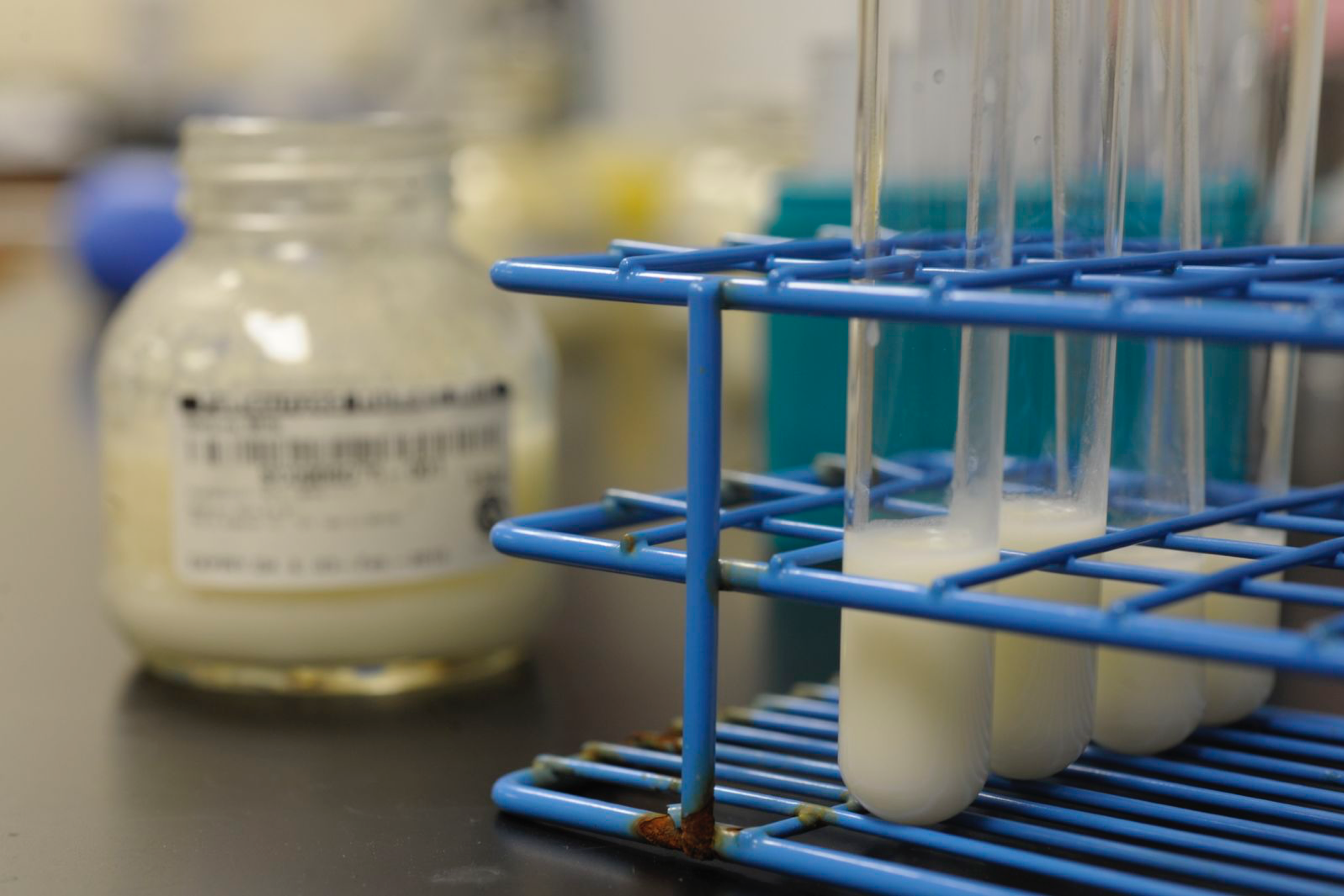 Human milk research samples in test tubes on a lab bench.