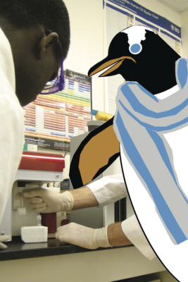 Pat believes research is very important. Pat likes to get flippers-on in the Gillings School labs. (Contributed photo)
