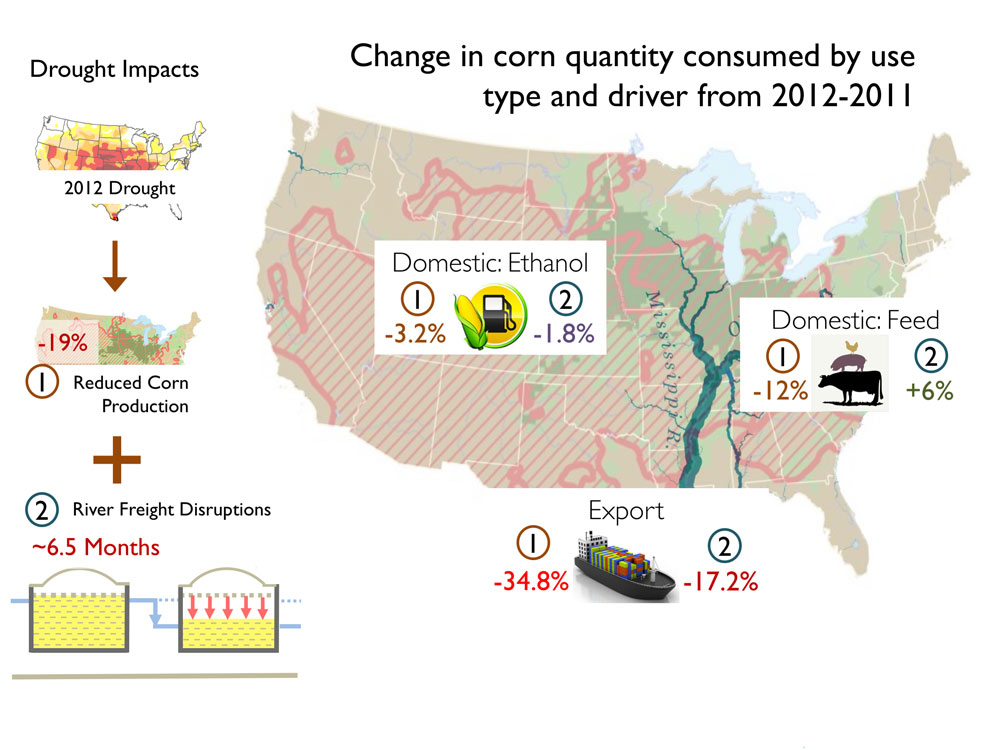 The 2012 Midwestern US drought both reduced corn harvest (1) and disrupted navigation on the Mississippi River (2). The two main domestic uses for corn only consumed 5% and 6% less corn in 2012 (as compared to 2011) while 52% less corn was exported. Domestic demands were minimally impacted by harvest reductions, and navigation disruptions ultimately benefited feed users. The impact of the drought on exporters was large for both drought impacts.