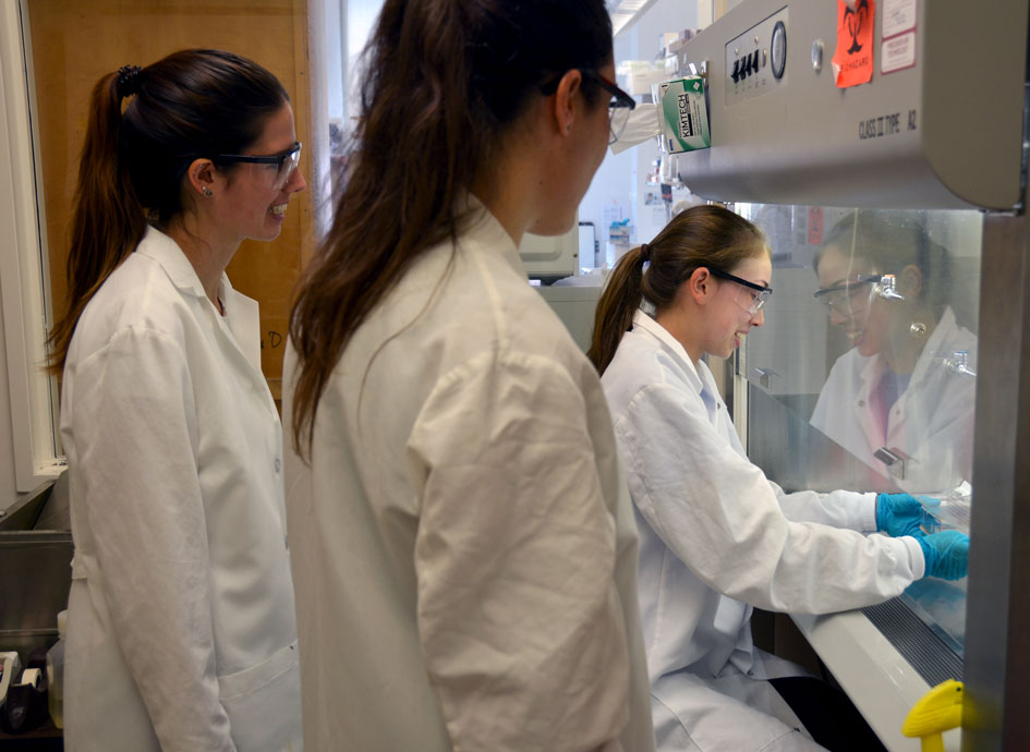 Three students work in the Baric lab.