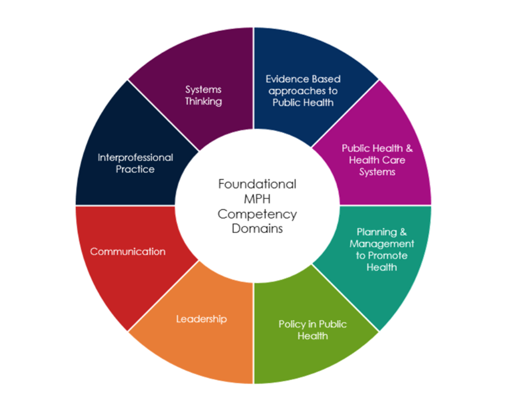 Graphic depicting the 8 Core Competency Domains