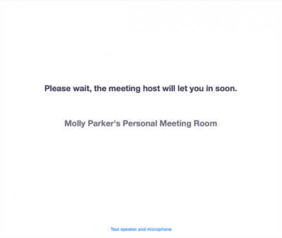 This image shows the message that attendees see when entering a Zoom waiting room.