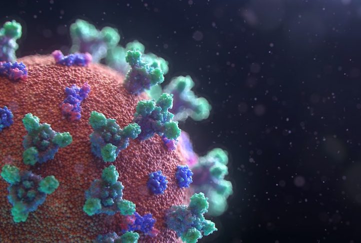 This is a visualization of the novel coronavirus.