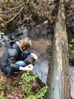 Aleah Walsh collects water samples from a stream in Sampson County.