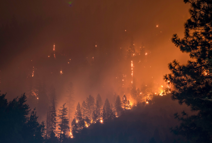 A wildfire burns in Klamath National Forest.