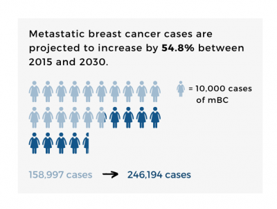 This graph shows projected increases in breast cancer cases between 2015 and 2030.