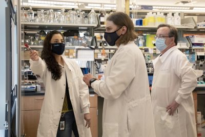 Trujillo and Friday (right) discuss an experiment with doctoral student Evan Paules (center). Paules studies the effects of choline-sensitive microRNA during brain development and in the adult liver. (Photo by Alyssa LaFaro)