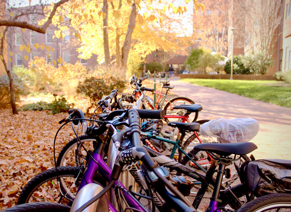 The autumn sun sets on a line of bicycles.