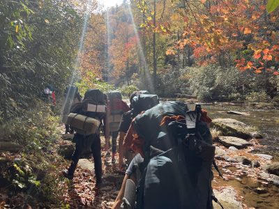 Group of people hiking in the forest with backpacks on.